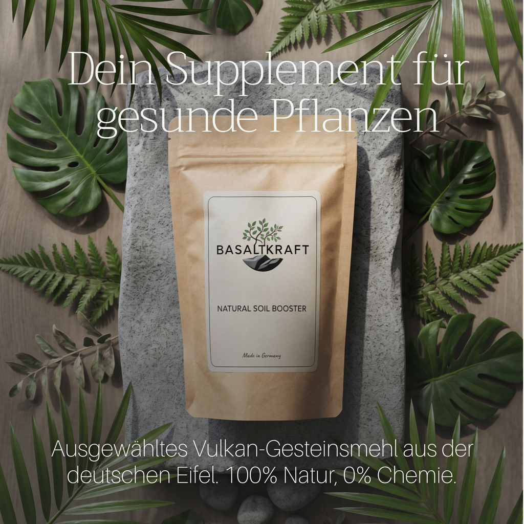Basaltkraft | Balkon & Kamerplanten | 600g