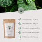 Basaltkraft | Balkon & Kamerplanten | 600g