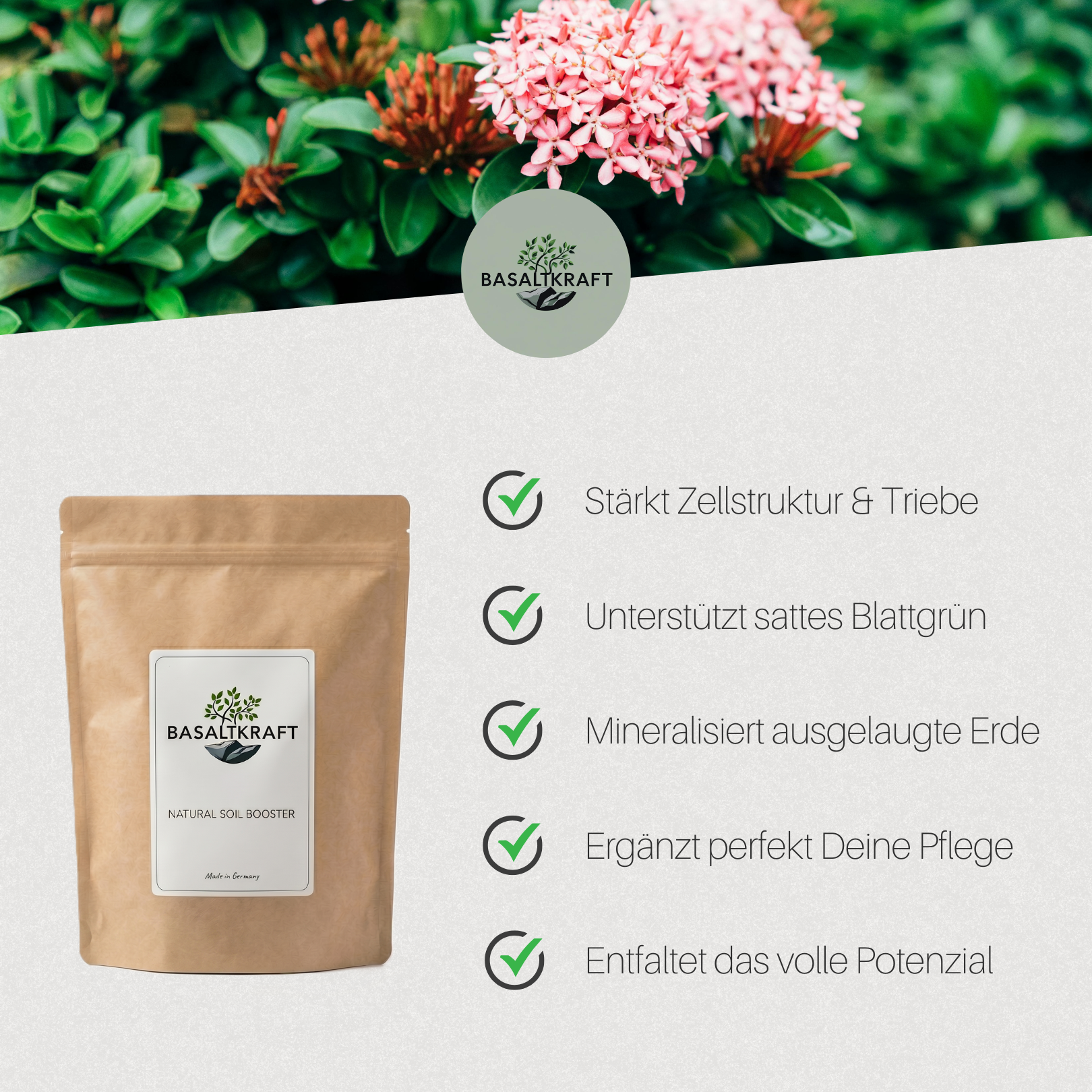 Basaltkracht Tuin | Planten-Supplement 1800 g | Essentiële Mineralen & Voedingsstoffen voor de Tuin