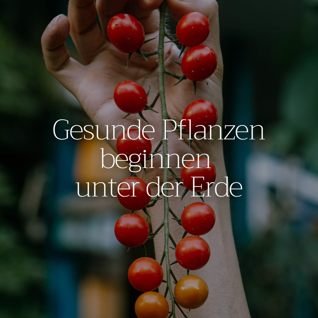 Basaltkracht Tuin | Planten-Supplement 1800 g | Essentiële Mineralen & Voedingsstoffen voor de Tuin