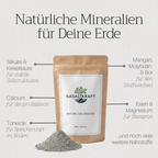 Basaltkraft | Balkon & Kamerplanten | 600g