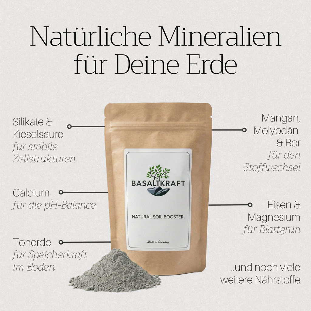 Basaltkraft | Balkon & Kamerplanten | 600g