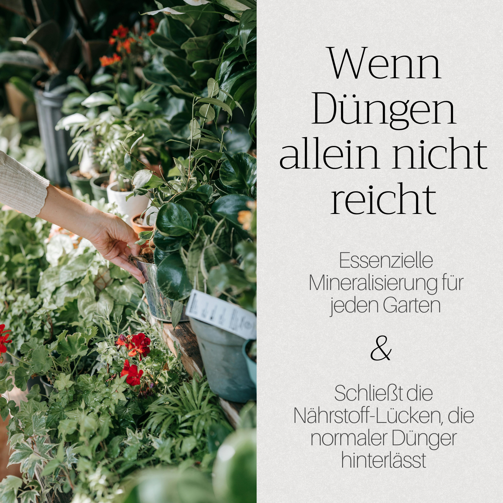 Basaltkracht Tuin | Planten-Supplement 1800 g | Essentiële Mineralen & Voedingsstoffen voor de Tuin