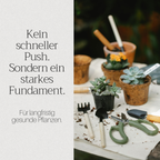 Basaltkracht Tuin | Planten-Supplement 1800 g | Essentiële Mineralen & Voedingsstoffen voor de Tuin