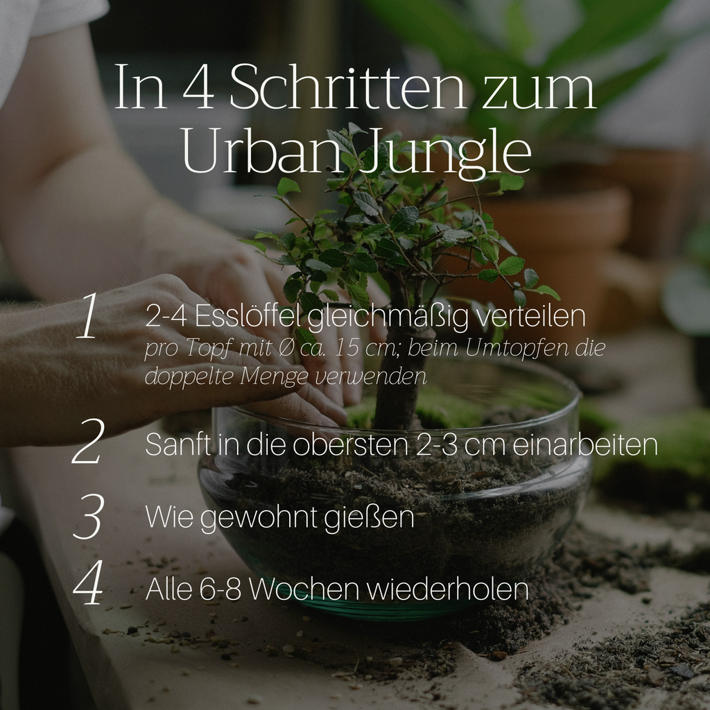 Basaltkraft | Balkon & Kamerplanten | 600g