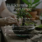 Basaltkraft | Balkon & Kamerplanten | 600g