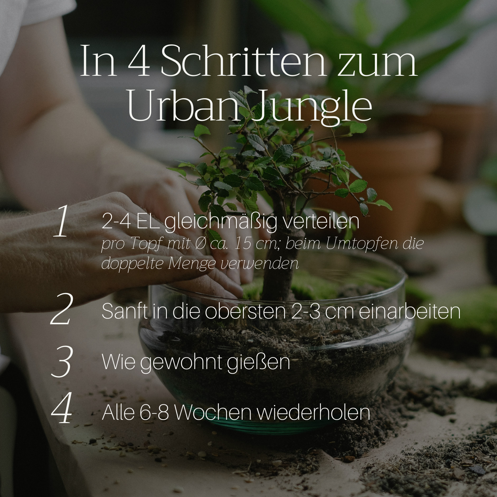 Basaltkraft | Balkon & Kamerplanten | 600g