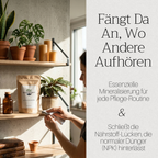 Basaltkraft | Balkon & Kamerplanten | 600g