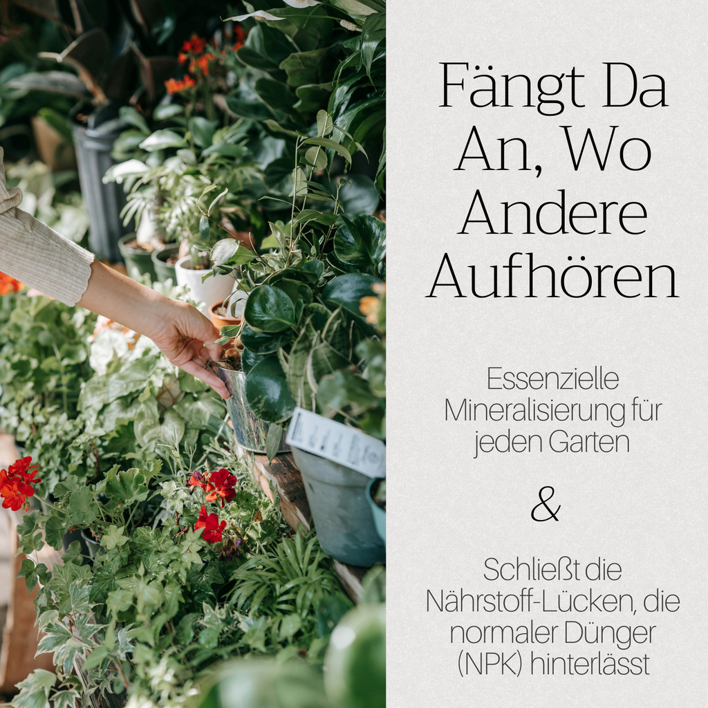 Basaltkraft | Balkon & Kamerplanten | 600g
