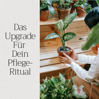 Basaltkraft | Balkon & Kamerplanten | 600g