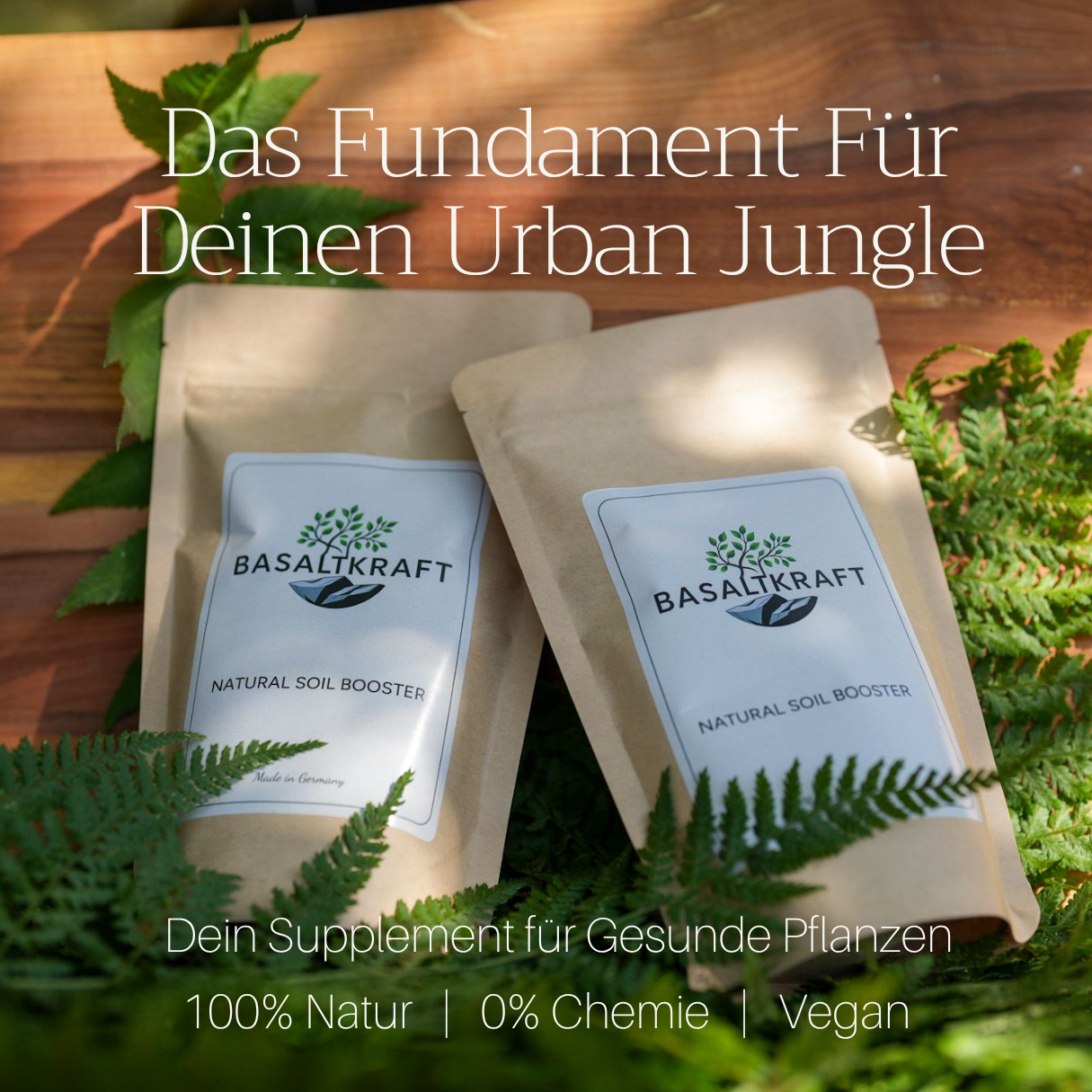 Basaltkraft | Balkon & Kamerplanten | 600g