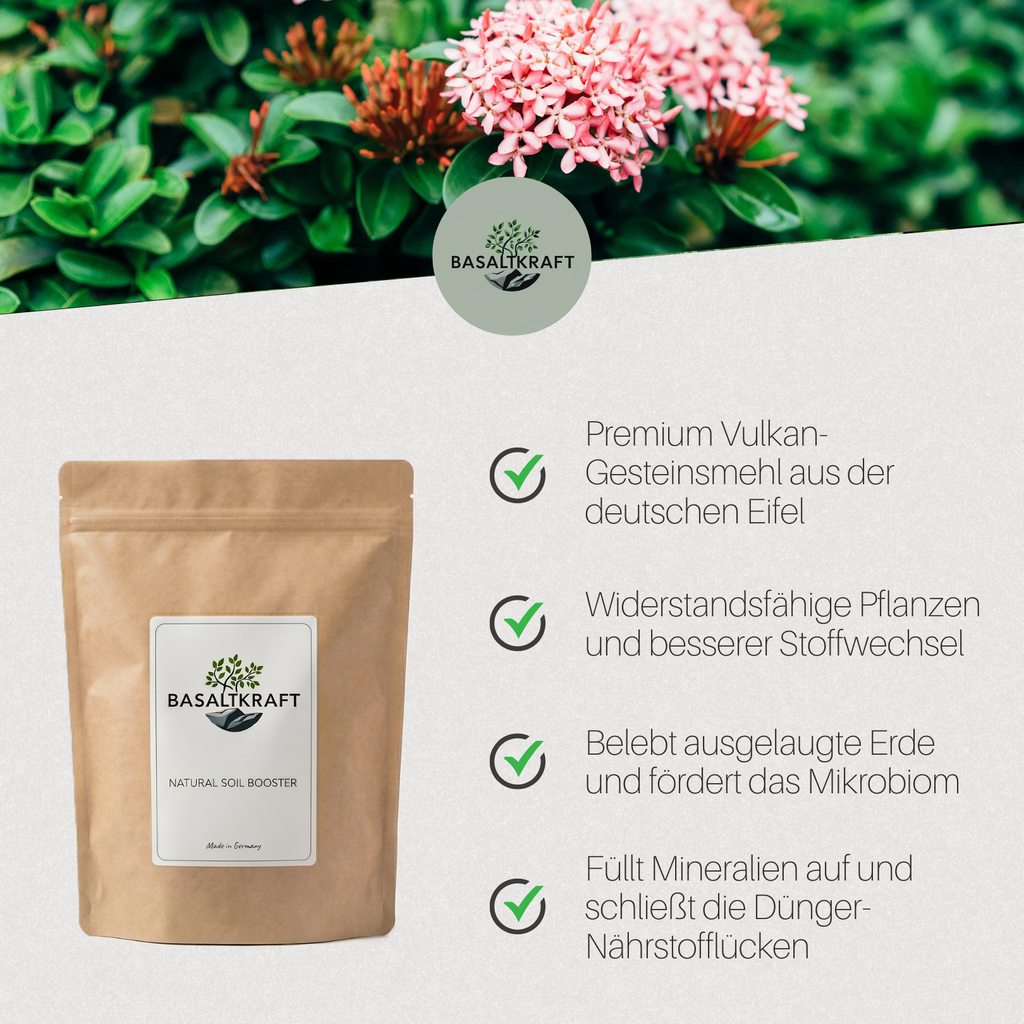 Basaltkraft | Balkon & Kamerplanten | 600g