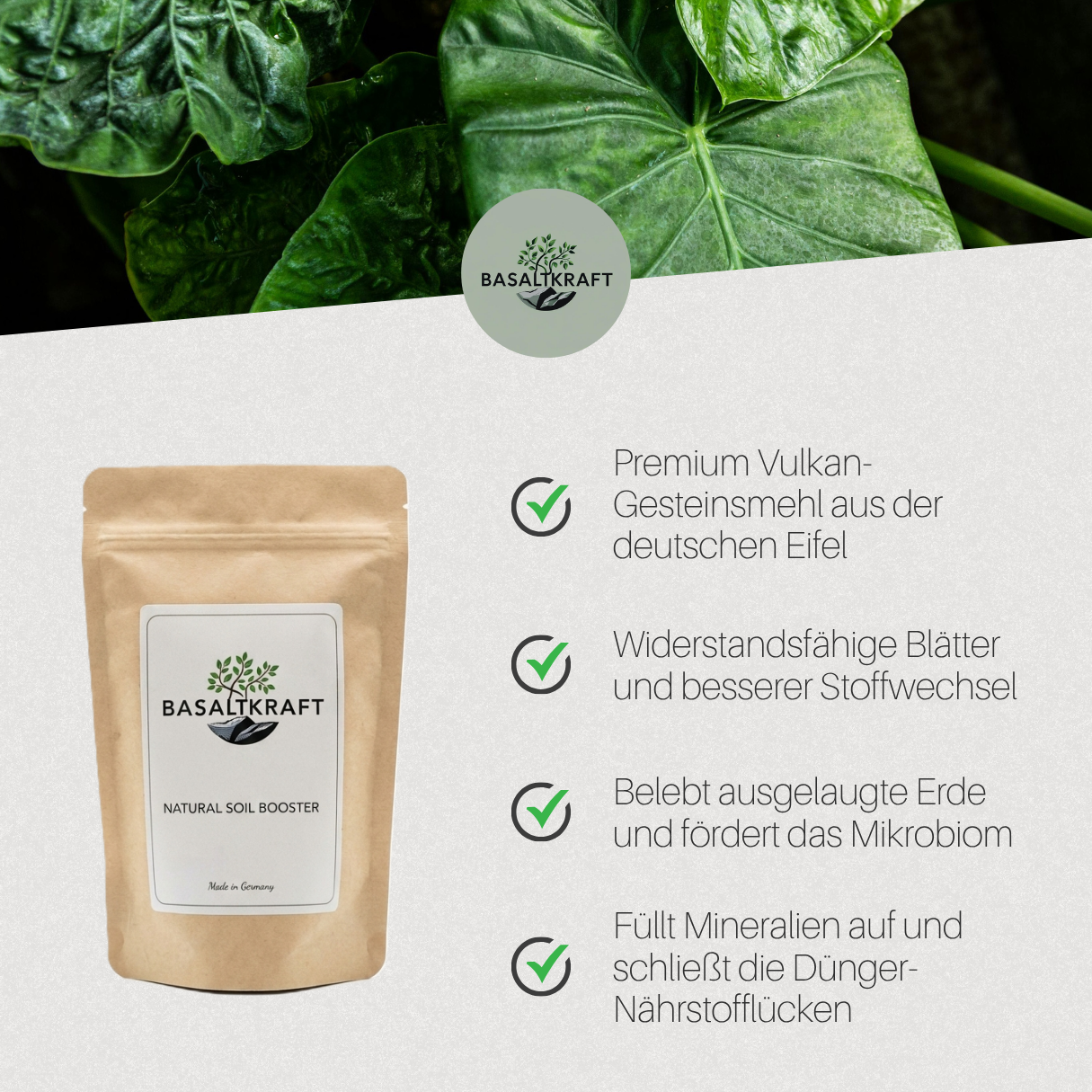 Basaltkraft | Balkon & Kamerplanten | 600g